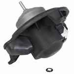 Order New Blower Motor by MOTORCRAFT - MM972 For Your Vehicle