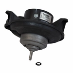 Order Nouveau moteur de ventilateur de MOTORCRAFT - MM972 For Your Vehicle