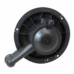 Order Nouveau moteur de ventilateur par MOTORCRAFT - MM979 For Your Vehicle