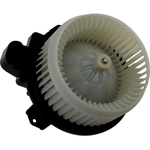 Order New Blower Motor With Wheel by CONTINENTAL - PM4031 For Your Vehicle