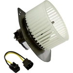 Order New Blower Motor With Wheel by GLOBAL PARTS DISTRIBUTORS - 2311514 For Your Vehicle