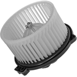 Order New Blower Motor With Wheel by GLOBAL PARTS DISTRIBUTORS - 2311555 For Your Vehicle
