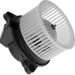 Order New Blower Motor With Wheel by GLOBAL PARTS DISTRIBUTORS - 2311688 For Your Vehicle