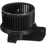 Order Moteur de soufflerie avec cage de ventilateur de MOTORCRAFT - MM1041 For Your Vehicle