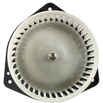 Order TYC - 700239 - New Blower Motor With Wheel For Your Vehicle
