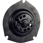 Order CONTINENTAL - PM2002 - Blower Motor For Your Vehicle