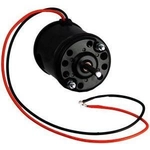 Order New Blower Motor Without Wheel by CONTINENTAL - PM350 For Your Vehicle