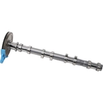 Order New Camshaft by ACDELCO - 55501298 For Your Vehicle