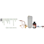 Order FOUR SEASONS - 3867NK - A/C Compressor Kit For Your Vehicle