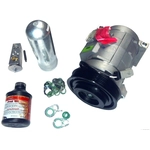 Order FOUR SEASONS - TSN2452 - A/C Compressor For Your Vehicle