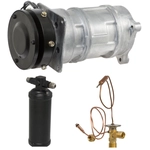 Order FOUR SEASONS - TSN3666 - A/C Compressor & Component Kit For Your Vehicle