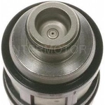 Order New Fuel Injector by BLUE STREAK (HYGRADE MOTOR) - FJ110 For Your Vehicle