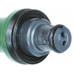 Order New Fuel Injector by BLUE STREAK (HYGRADE MOTOR) - FJ865 For Your Vehicle