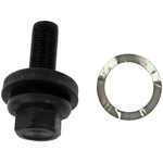 Order New Harmonic Balancer by DORMAN (OE SOLUTIONS) - 594-318 For Your Vehicle