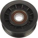 Order DORMAN/TECHOICE - 419-603 - New Idler Pulley For Your Vehicle