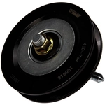 Order New Idler Pulley by DORMAN/TECHOICE - 419-724 For Your Vehicle