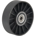 Order New Idler Pulley by HAYDEN - 5033 For Your Vehicle