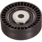 Order New Idler Pulley by INA - FP00011 For Your Vehicle