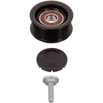 Order INA - FP02331 - Drive Belt Idler Pulley For Your Vehicle