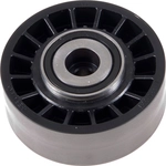 Order New Idler Pulley by INA - FP02821 For Your Vehicle