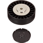 Order New Idler Pulley by INA - FP01691 For Your Vehicle