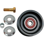 Order New Idler Pulley by LITENS AUTOMOTIVE - 900496A For Your Vehicle