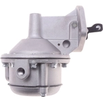 Order New Mechanical Fuel Pump by CARTER - M3019 For Your Vehicle