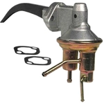 Order CARTER - M60418 - Mechanical Fuel Pump For Your Vehicle