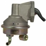 Order New Mechanical Fuel Pump by CARTER - M4513 For Your Vehicle