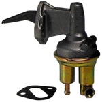 Order New Mechanical Fuel Pump by CARTER - M60048 For Your Vehicle