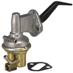 Order New Mechanical Fuel Pump by CARTER - M60318 For Your Vehicle