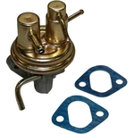 Order New Mechanical Fuel Pump by GMB - 565-8010 For Your Vehicle