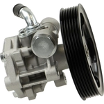 Order New Power Steering Pump by ATLANTIC AUTOMOTIVE ENTERPRISES - 5895N For Your Vehicle