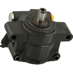 Order New Power Steering Pump by ATLANTIC AUTOMOTIVE ENTERPRISES - 63187N For Your Vehicle