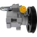 Order New Power Steering Pump by ATLANTIC AUTOMOTIVE ENTERPRISES - 63201N For Your Vehicle