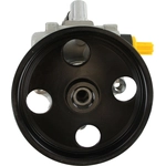 Order New Power Steering Pump by ATLANTIC AUTOMOTIVE ENTERPRISES - 63273N For Your Vehicle