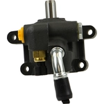 Order New Power Steering Pump by ATLANTIC AUTOMOTIVE ENTERPRISES - 7291N For Your Vehicle