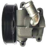 Order EDELMANN - 6069PX - Power Steering Pump For Your Vehicle