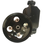 Order EDELMANN - 6105PR - Power Steering Pump For Your Vehicle