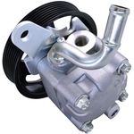 Order New Power Steering Pump by HITACHI - PSP0033 For Your Vehicle