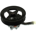 Order New Power Steering Pump by MOPAR - 68193091AB For Your Vehicle