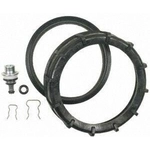 Order New Pressure Regulator by BLUE STREAK (HYGRADE MOTOR) - PR447 For Your Vehicle