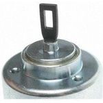 Order New Solenoid by BLUE STREAK (HYGRADE MOTOR) - SS348 For Your Vehicle