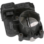 Order New Throttle Body by STANDARD - PRO SERIES - S20202 For Your Vehicle