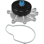 Order ACDELCO - 252-813 - New Water Pump For Your Vehicle