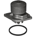 Order ACDELCO - 252-920 - Engine Coolant Water Pump For Your Vehicle