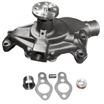 Order ACDELCO PROFESSIONAL - 252-581 - Engine Coolant Water Pump For Your Vehicle