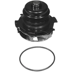 Order ACDELCO PROFESSIONAL - 252-707 - Engine Water Pump For Your Vehicle