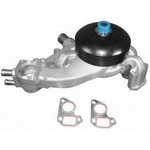 Order New Water Pump by ACDELCO PROFESSIONAL - 252-901 For Your Vehicle