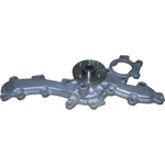 Order New Water Pump by DAYCO - DP2182 For Your Vehicle